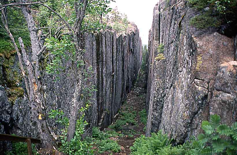 N1047 NP Skuleskogen