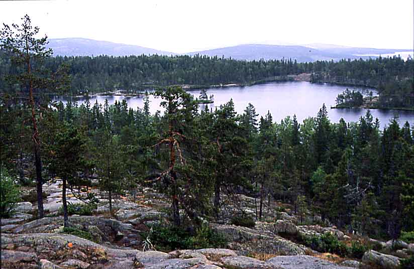N1050 NP Skuleskogen