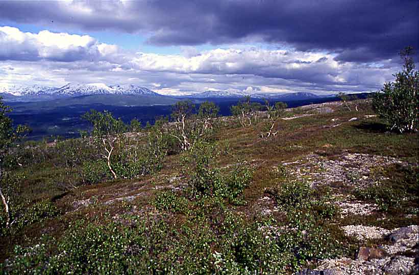 N417 Bertelberg bei Mo i Rana