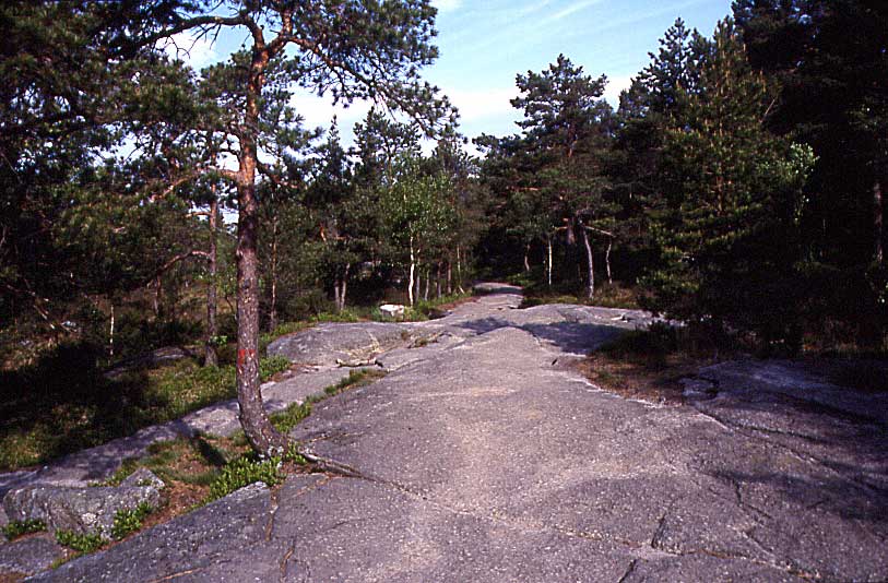 N46 Anstieg zum Prekestolen