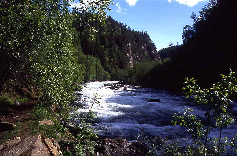 N477 Junkerdalen