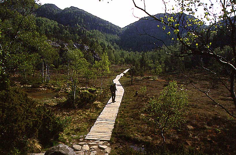 N49 Anstieg zum Prekestolen
