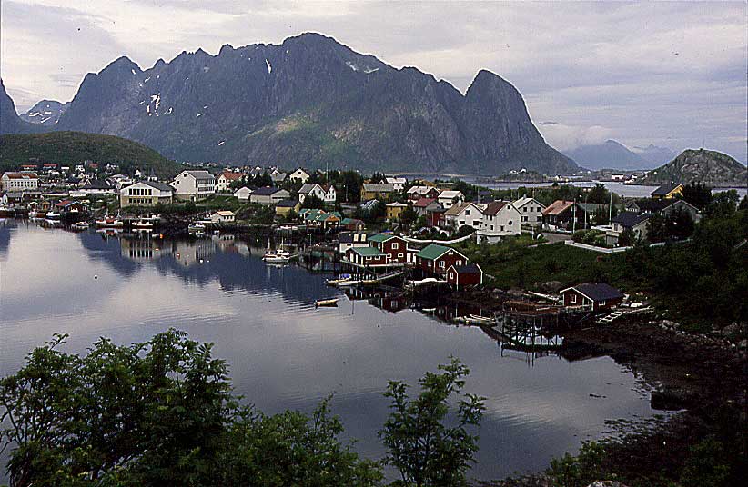 N528 Reine