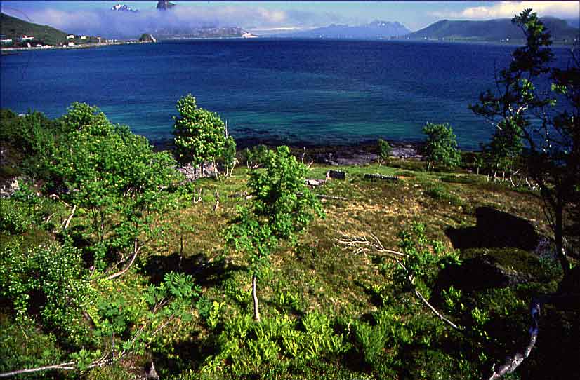 N583 Lofoten Vestvagoy