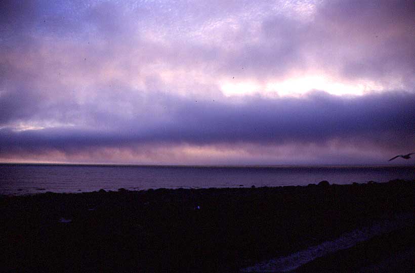 N636 Mitternachtsnebel