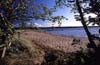N1012 Ostseestrand