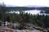 N1050 NP Skuleskogen