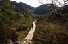 N49 Aufstieg zum Prekestolen