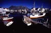 N668 Henningsvaer