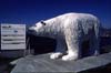 N893 Hammerfest